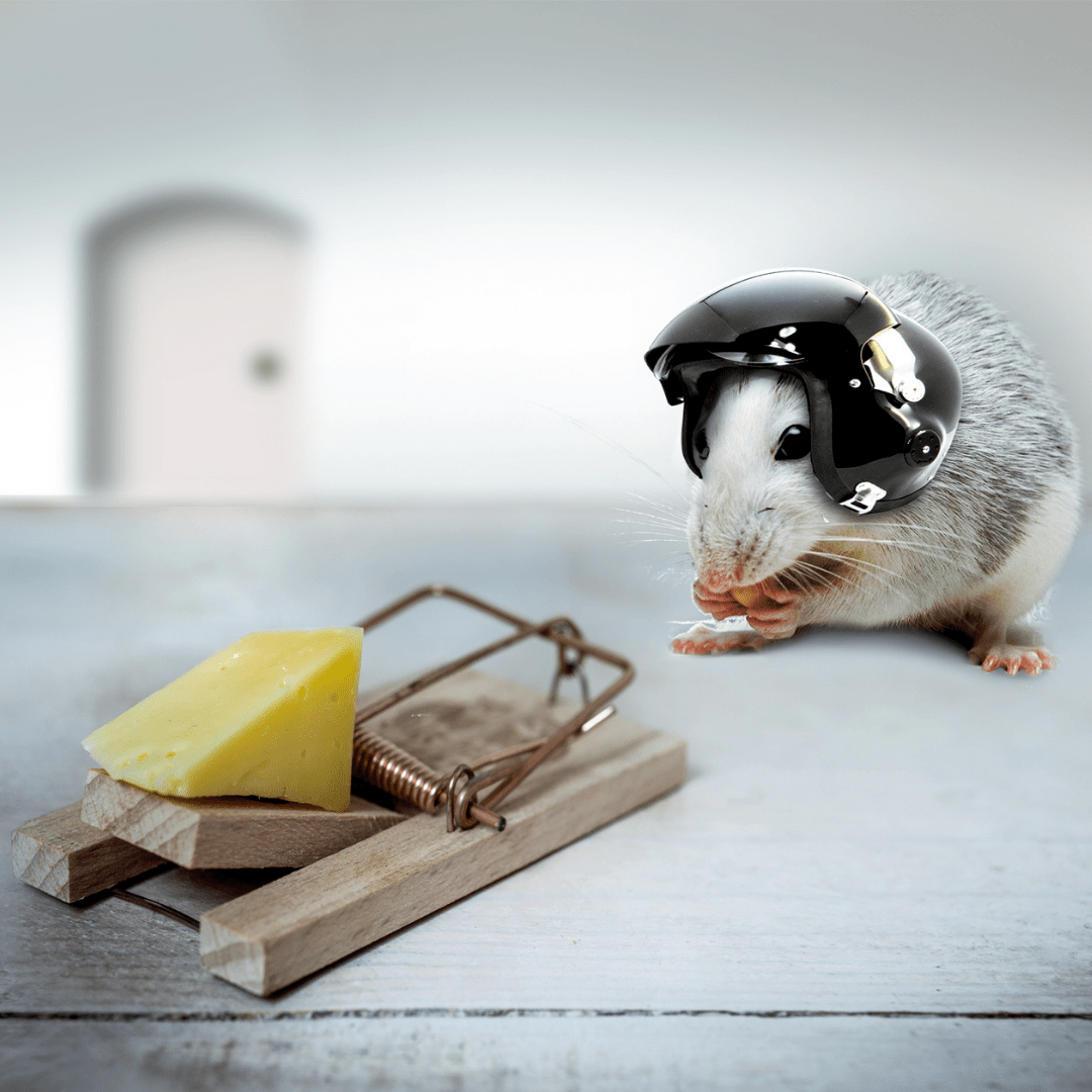 risicogebaseerd denken risicogebaseerd denken