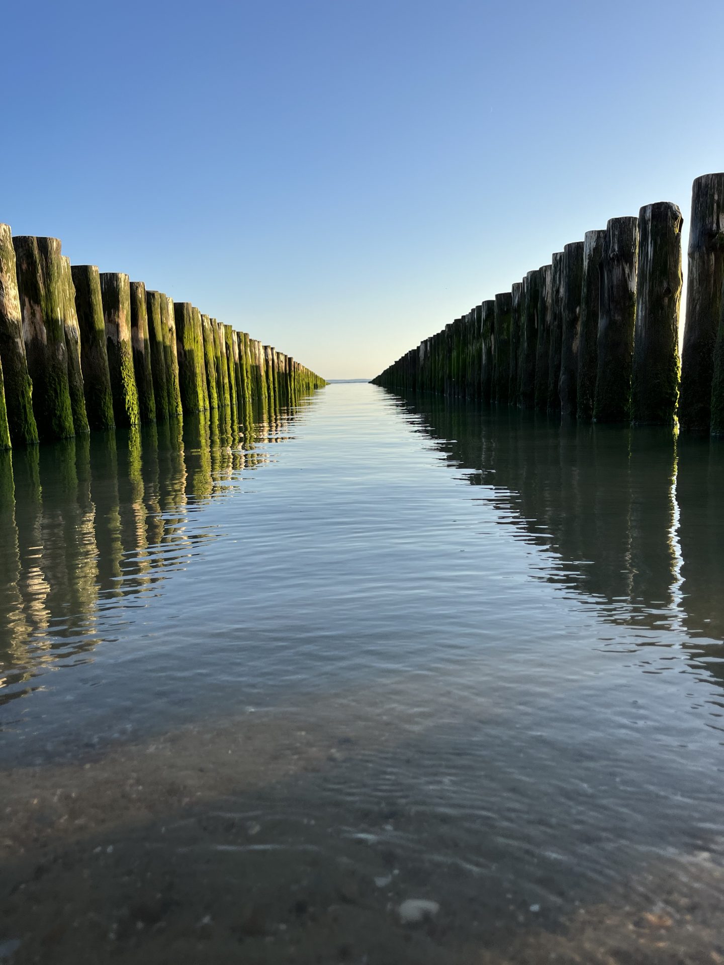 Risicogebaseerd denken: je gebruikt het elke dag. QAducation vertelt erover. 